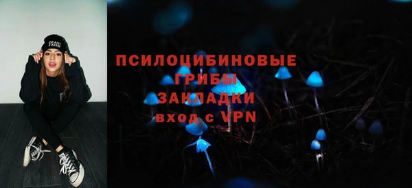 мдпв Инта