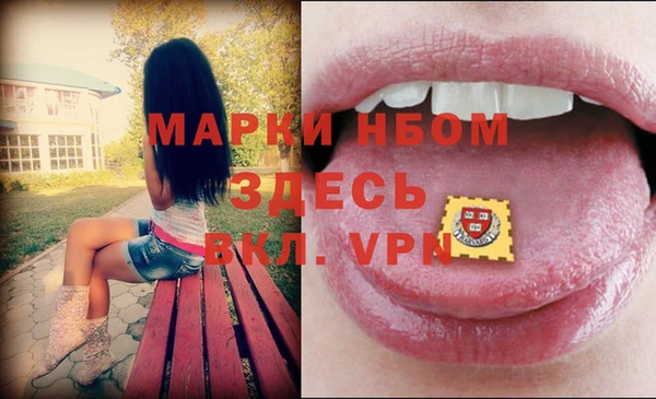 мдпв Инта