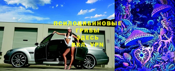 гидропоника Иннополис
