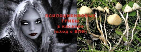 а пвп мука Инсар