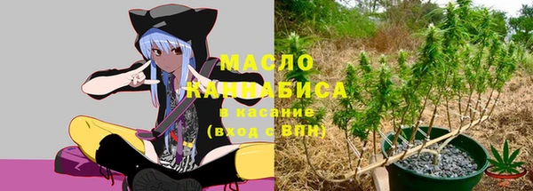 мдпв Инта