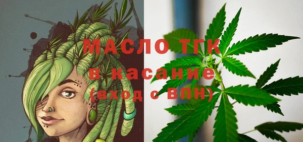 мдпв Инта