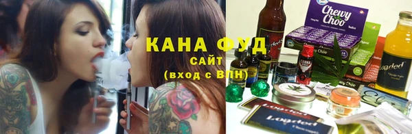 мдпв Инта